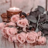 linlin635
